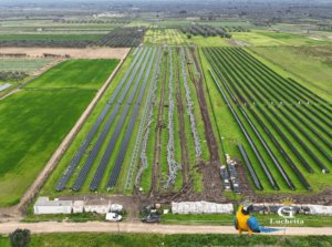 Smaltimento Impianto Fotovoltaico Brindisi