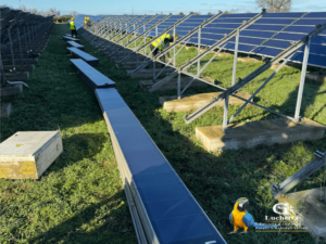 Smaltimento Impianto Fotovoltaico Foggia